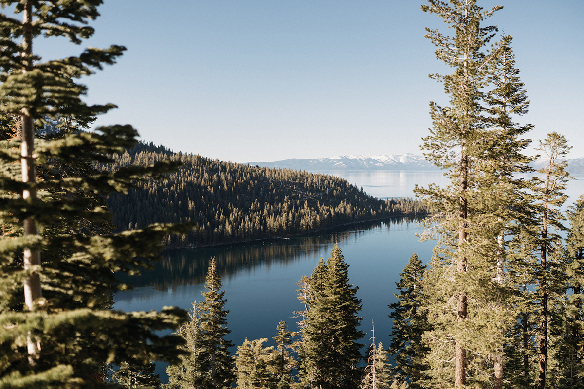 A serene lake surrounded by dense evergreen trees, meticulously maintained by skilled arborists, with distant mountains under a clear blue sky.