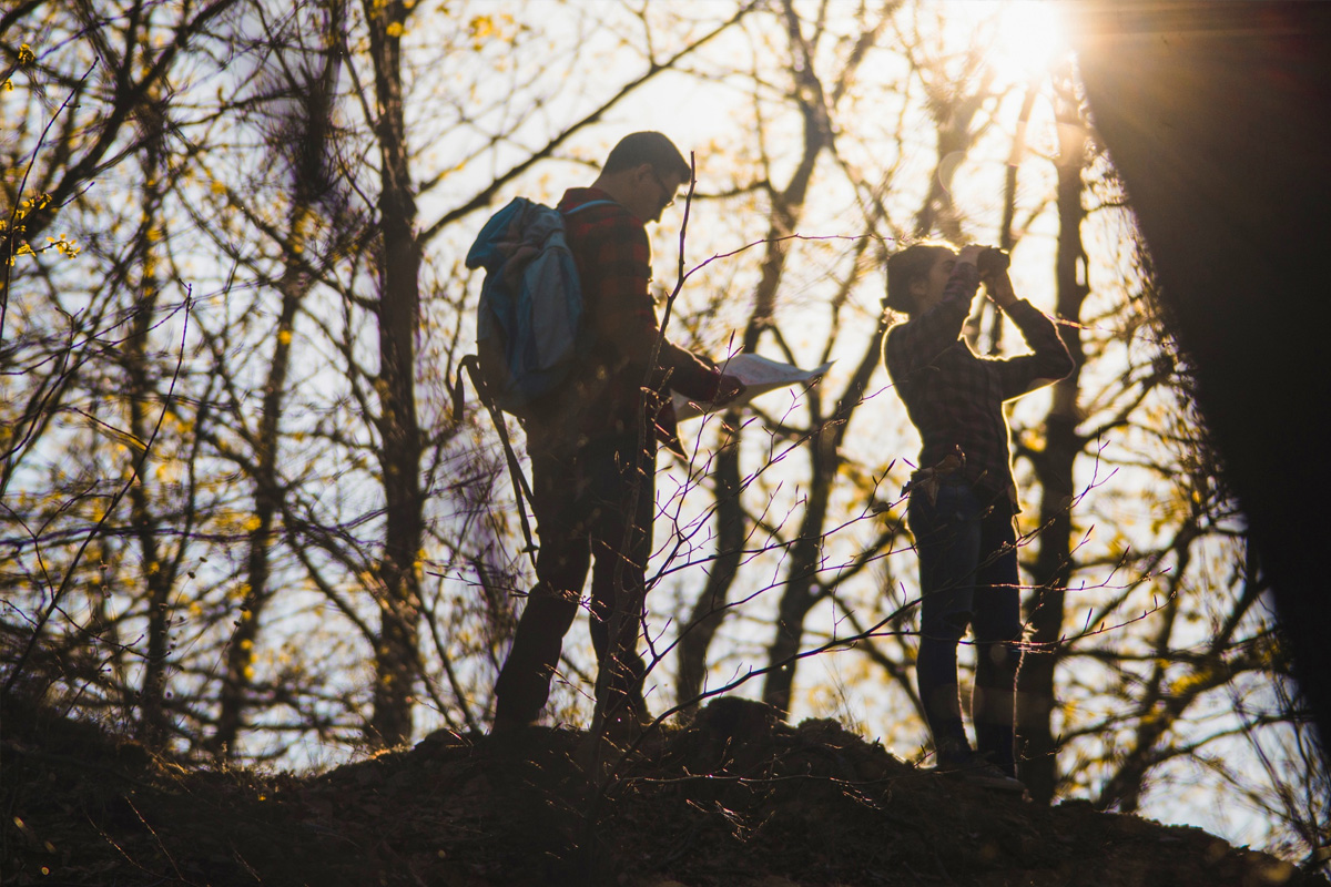 Two hikers stand on a hill in a forest; one, an experienced arborist, checks a map while the other looks through binoculars, with sunlight filtering through the trees in the background.