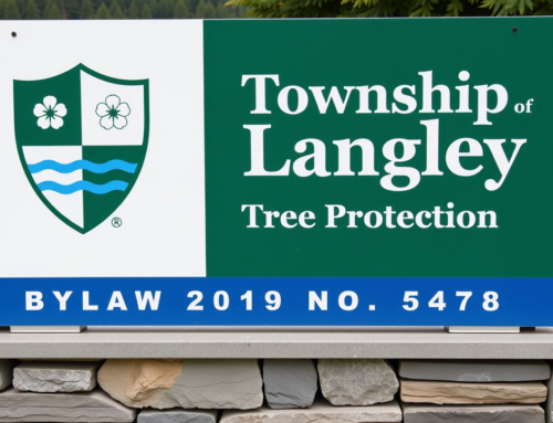 Township of Langley Tree Bylaws: A Quick Guide