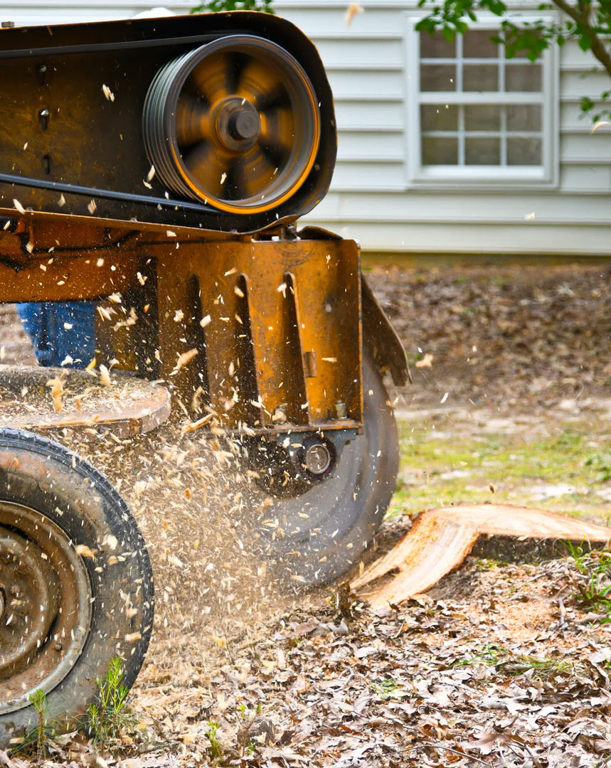A wood chipper in use outdoors, ejecting wood chips and debris as it processes a large piece of wood, with a house in the background.